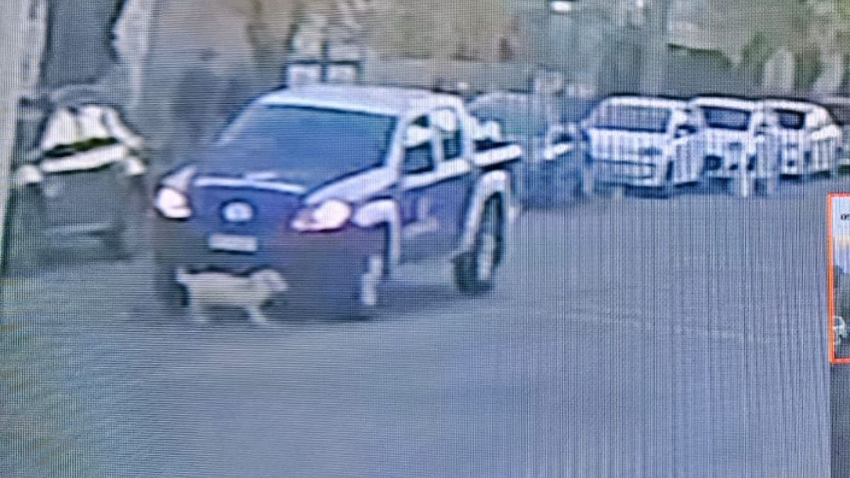 Captura de pantalla del video en que cual quedó registrado el momento que una camioneta de Guaymallén atropelló a King. Captura de pantalla del video en que cual quedó registrado el momento que una camioneta de Guaymallén atropelló a King.