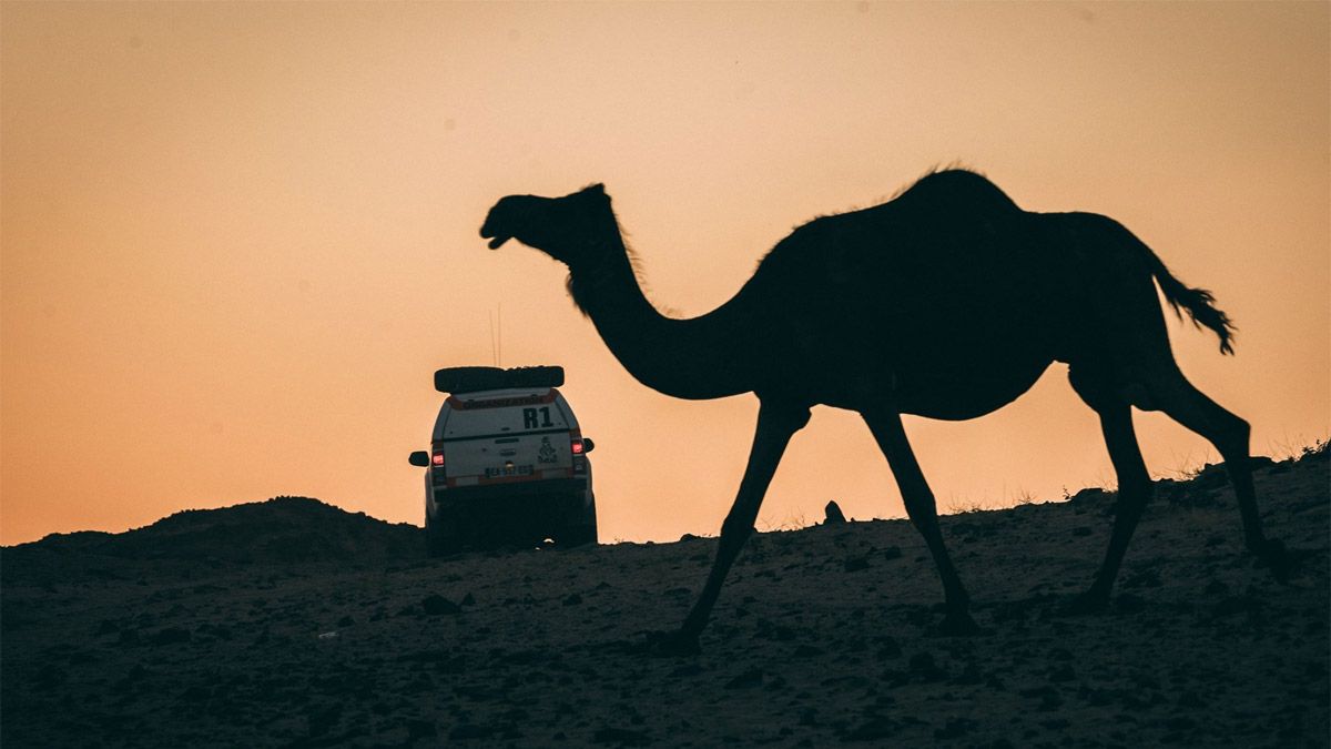 El Dakar modificó algunos tramos de su recorrido