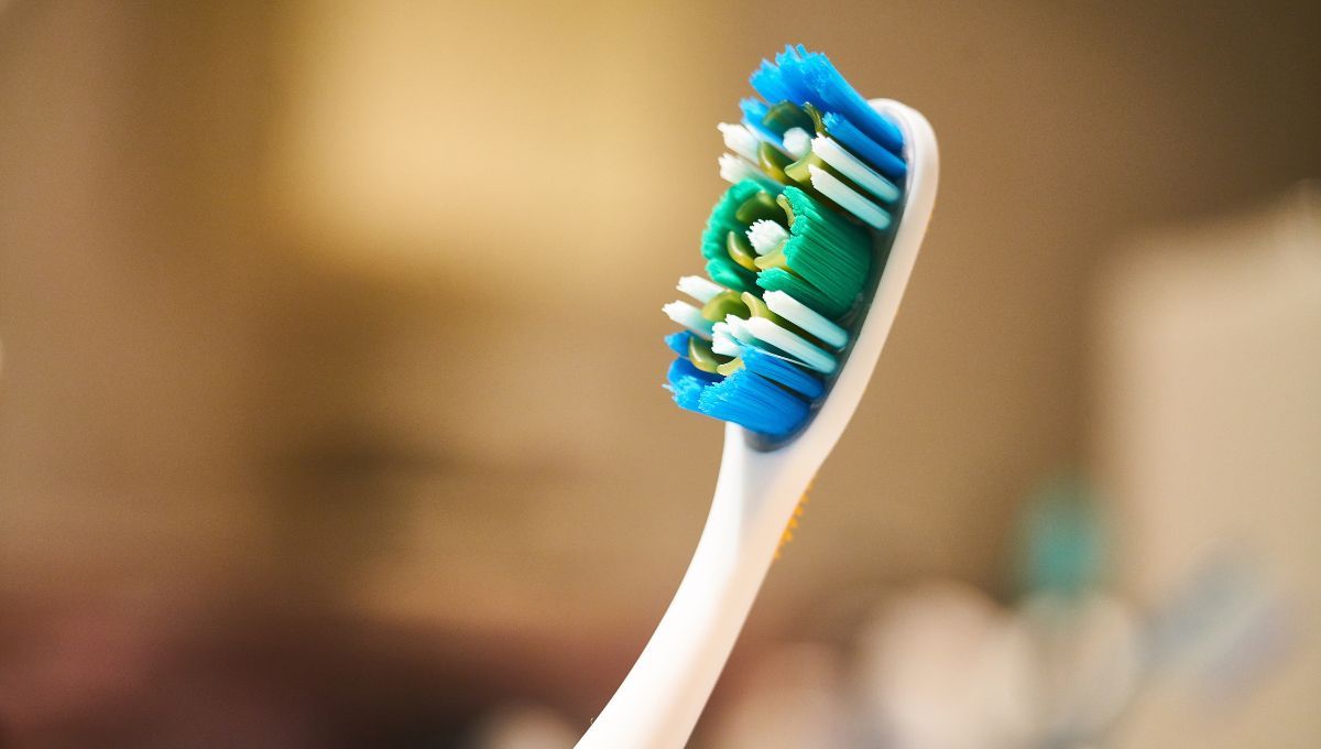 Cepillo de dientes. Cepillo de dientes.