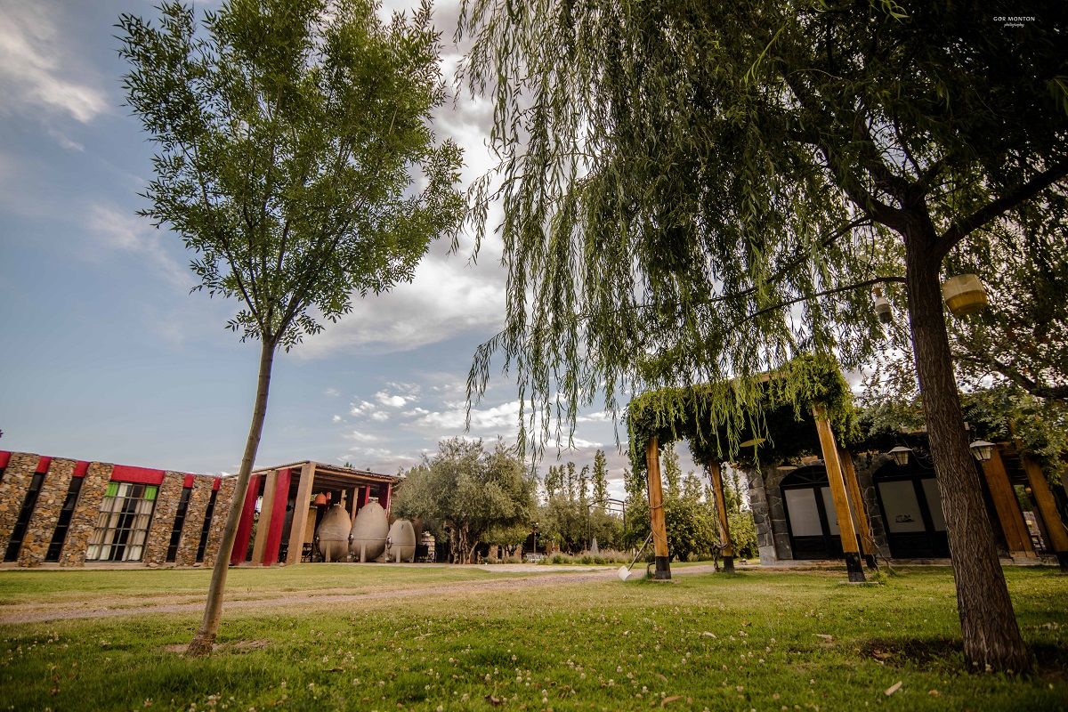 El Festival de Cultivos Andinos es una iniciativa del proyecto Labrar de Casa Vigil junto a INTA Mendoza.