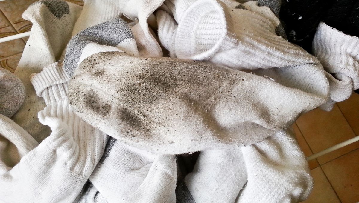 Medias blancas sucias. Medias blancas sucias. 