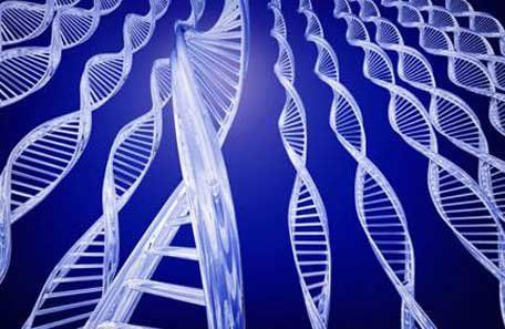 Vivir 100 años: el secreto está en los genes