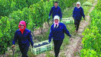 Ningxia brinda por el éxito empresarial