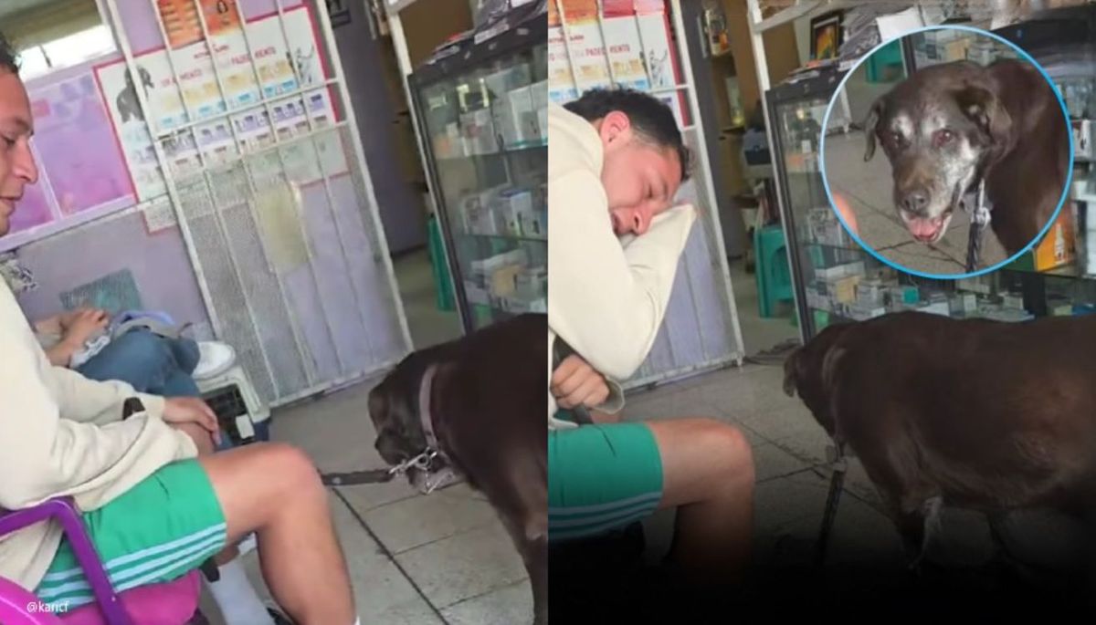 Un hombre se despidió de su mascota y el video se hizo viral.