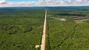 La construcción de una ruta en América del Sur provoca una gran alerta científica