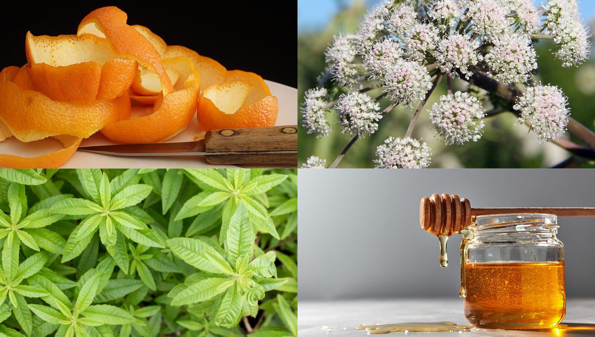 La yerba sola tiene propiedades pero, combinada con otros yuyos puede ser mucho más beneficiosa para la salud La yerba sola tiene propiedades pero, combinada con otros yuyos puede ser mucho más beneficiosa para la salud