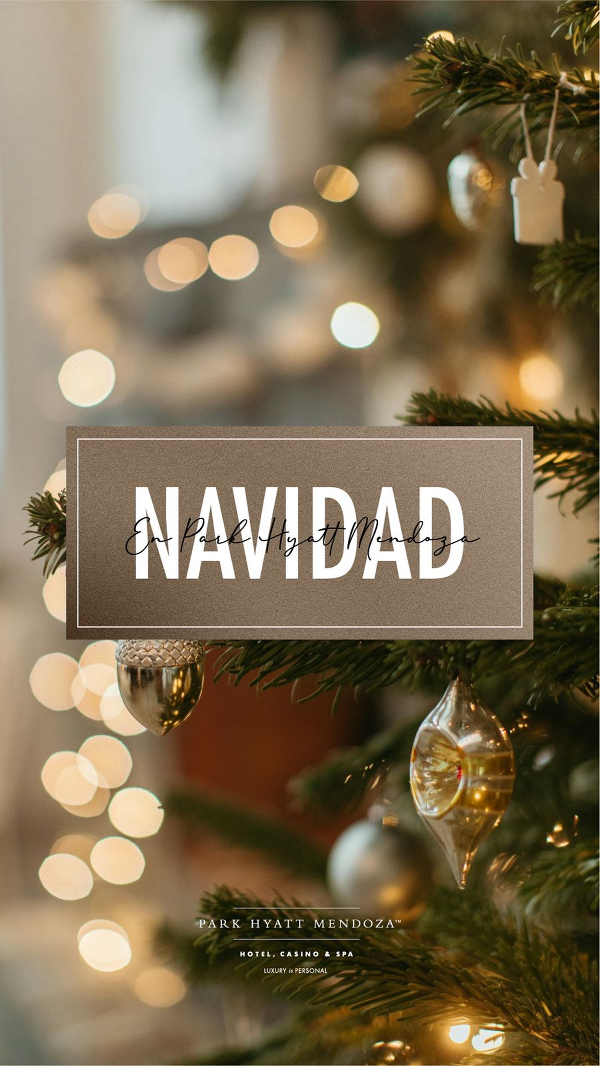 Parte de la promoci&oacute;n del hotel Hyatt para las celebraciones de Navidad y A&ntilde;o Nuevo