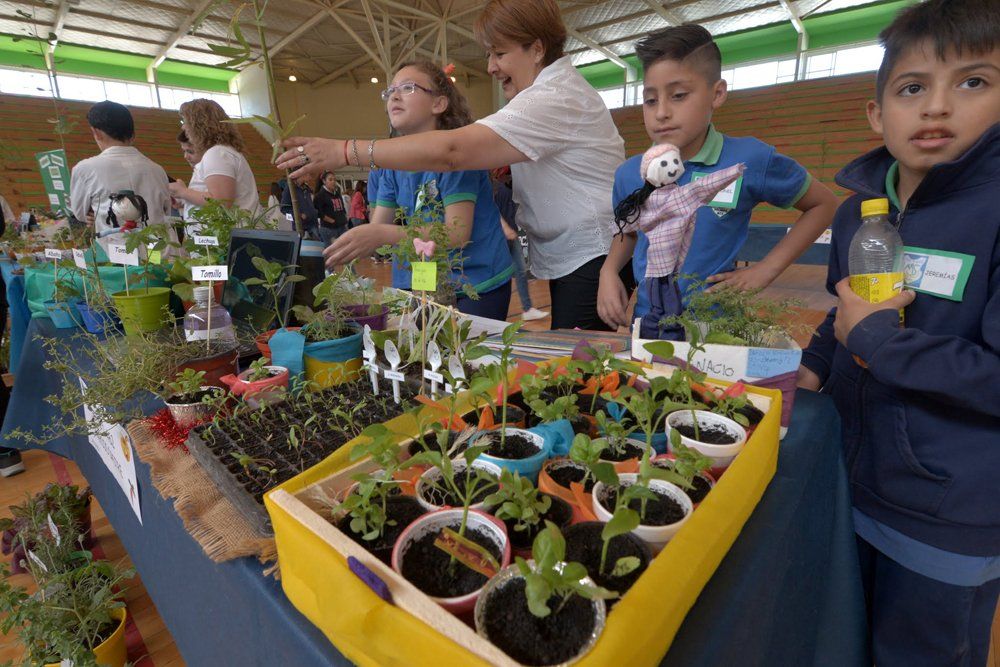 De la huerta escolar  a la huerta hogareña