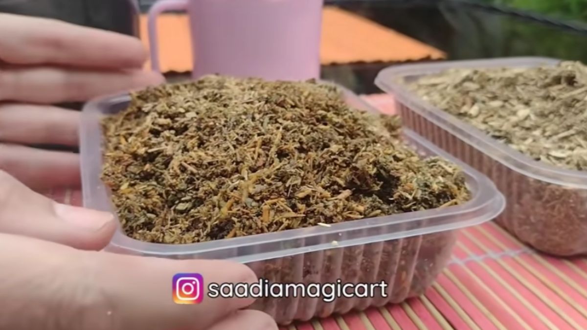 Así deberás reciclar yerba para elaborar una maceta biodegradable. Así deberás reciclar yerba para elaborar una maceta biodegradable.