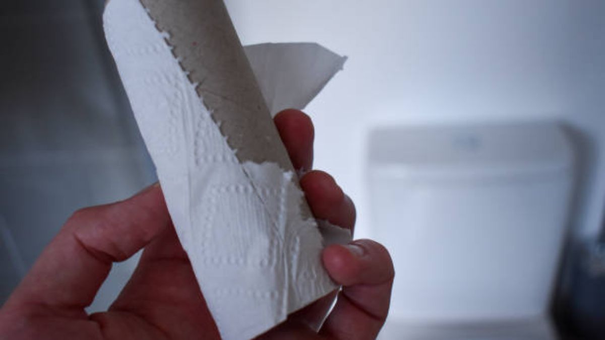 Reciclaje: guardá los tubos de papel higiénico vacíos y transformalos en macetas biodegradables para tus plantas