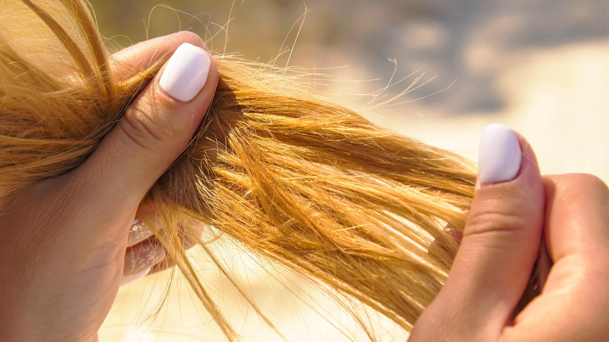 Este truco casero te ayudará y en solo días lucirás las puntas de tu cabello selladas y tu melena hidratada. Este truco casero te ayudará y en solo días lucirás las puntas de tu cabello selladas y tu melena hidratada.