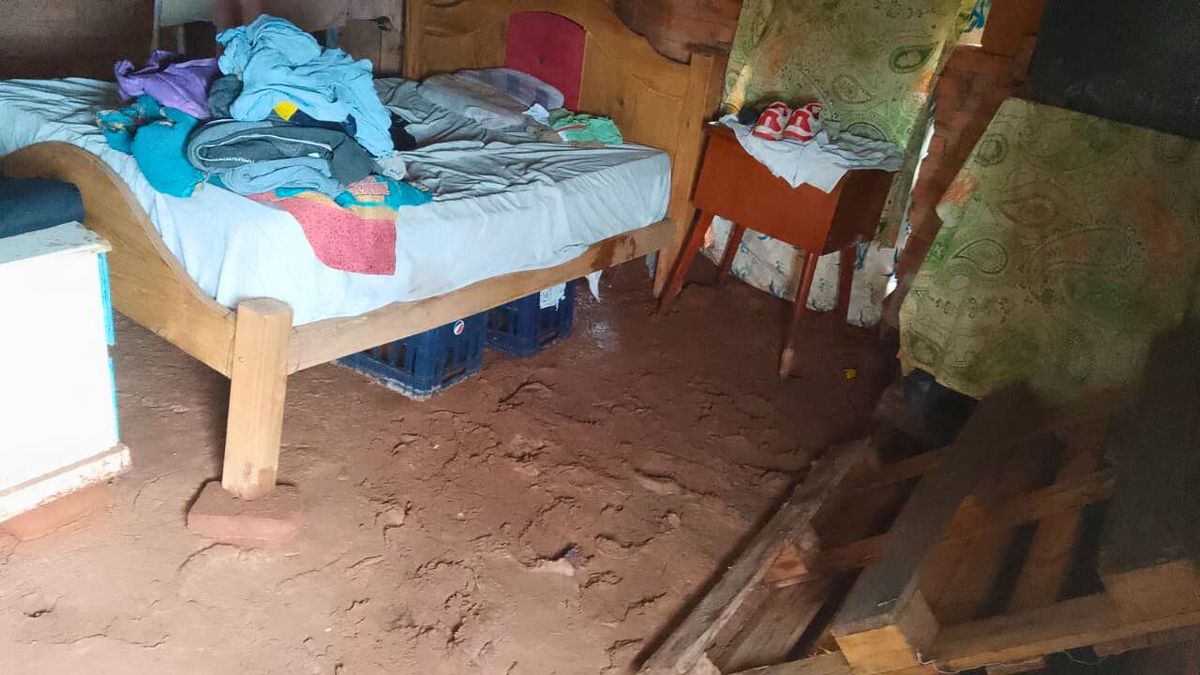 El temporal de lluvia en plena Vendimia dejó familias en Lavalle que lo perdieron todo