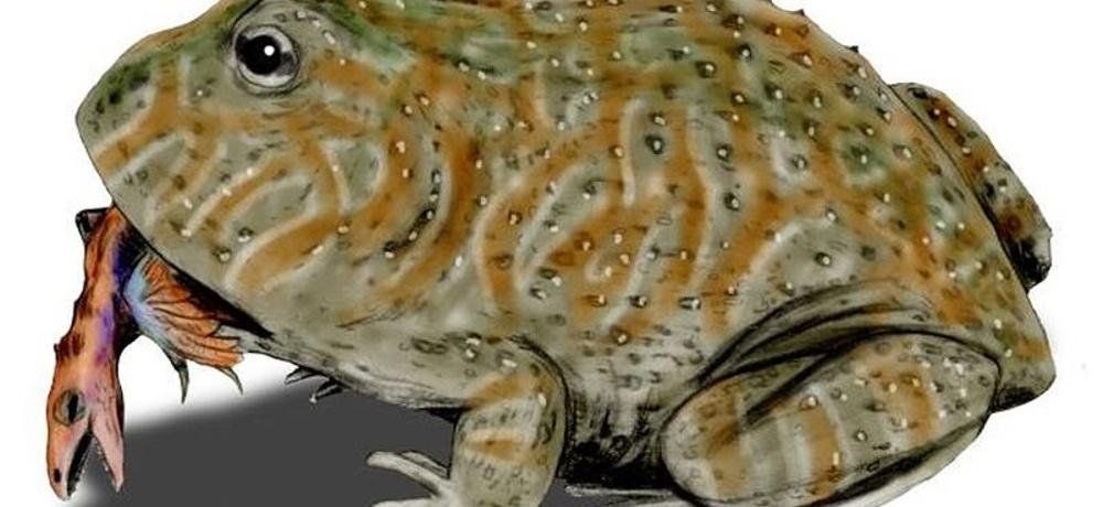La rana que podía comer dinosaurios