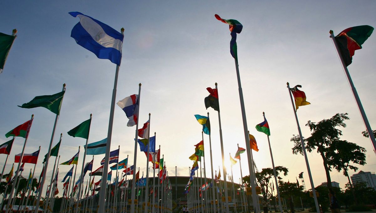 El único color que no está presente en ninguna bandera nacional porque está prohibido: ¿cuál es?