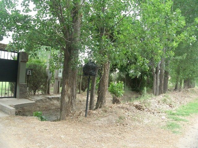 Ya se puede solicitar la erradicación de forestales en Alvear