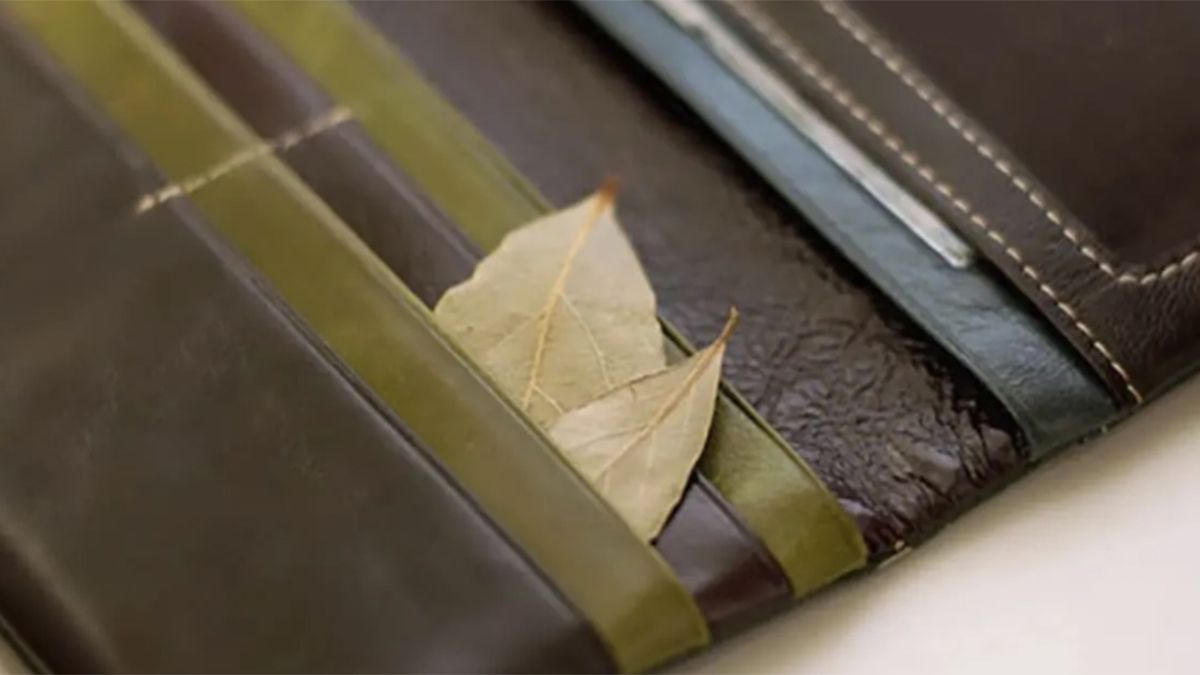 Según un ritual, llevar unas hojas de laurel en la billetera, cartera o bolso atrae la abundancia. Según un ritual, llevar unas hojas de laurel en la billetera, cartera o bolso atrae la abundancia.