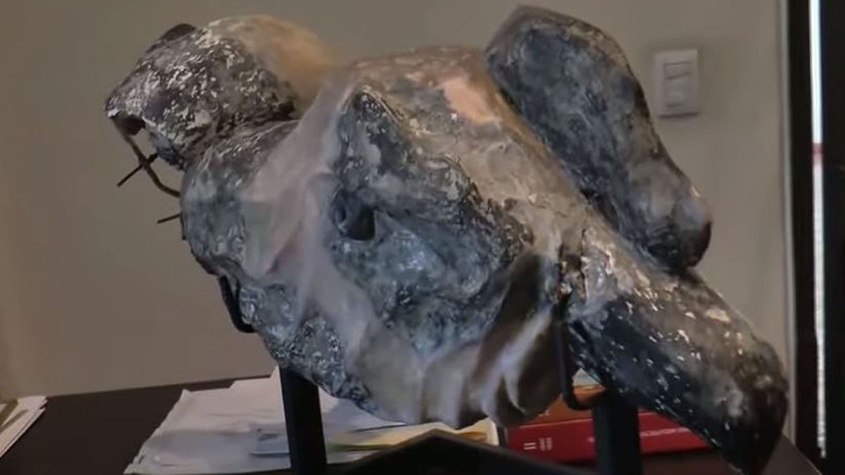 La cabeza del Cóndor del Acceso Este lucirá color piel.