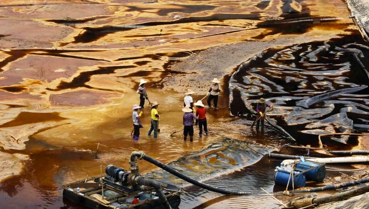 China saca a luz un potencial inigualable de su suelo y supera a Estados Unidos con este descubrimiento