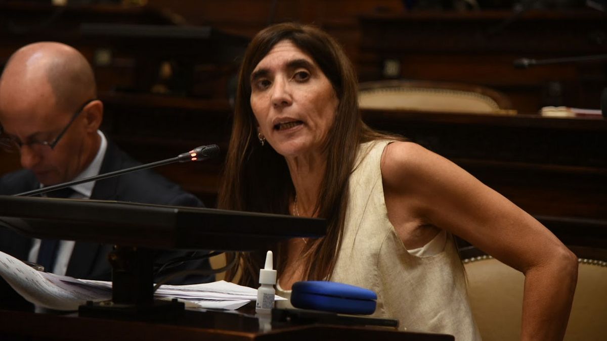 Natacha Eisenchlas, senadora del oficialismo, rebatió los argumentos de quienes no apoyaron la DIA de PSJ Cobre Mendocino y remarcó que la Ley 7722 está vigente. Natacha Eisenchlas, senadora del oficialismo, rebatió los argumentos de quienes no apoyaron la DIA de PSJ Cobre Mendocino y remarcó que la Ley 7722 está vigente.