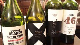 Borsani  propone disminución al 10