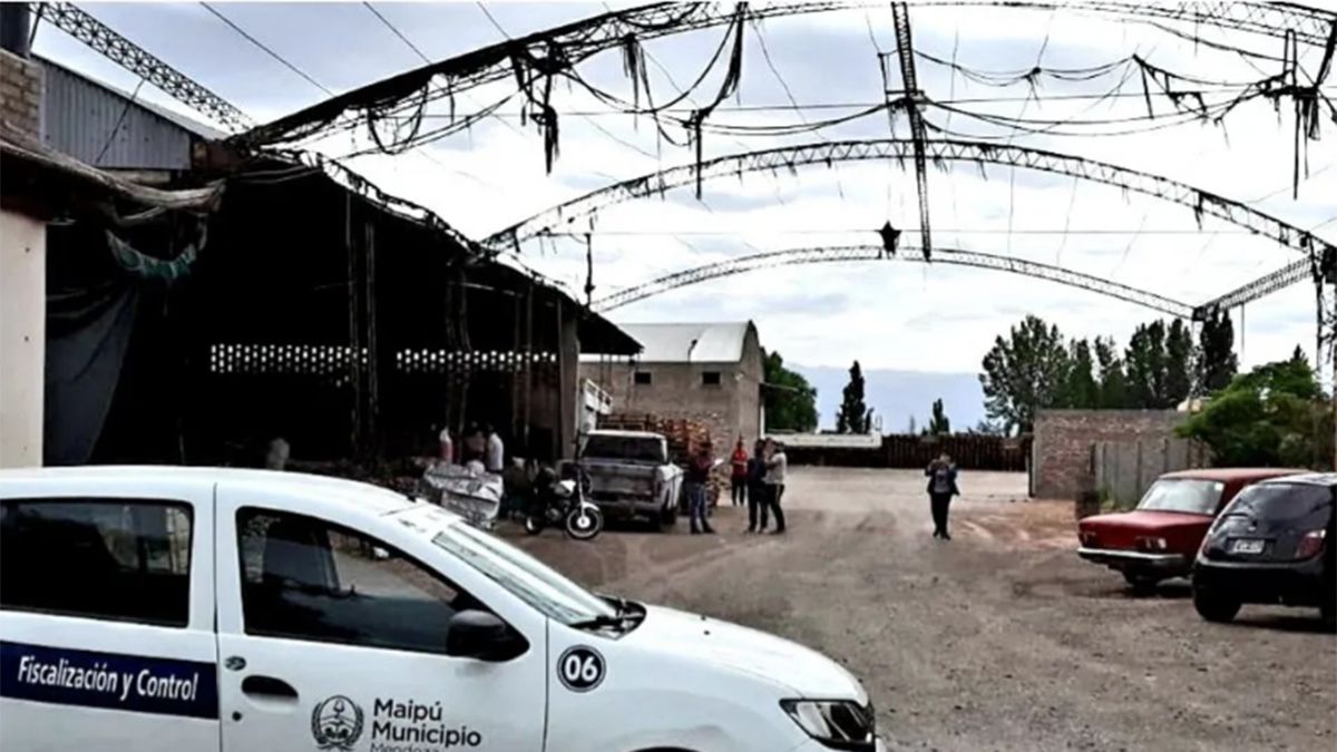 Por los continuos robos de cosechas de ajo, la comuna de Maipú, junto a la Dirección de Fiscalización y Control y la Policía Rural hicieron un operativo en el que se detectaron 5 establecimientos de acopio ilegal.