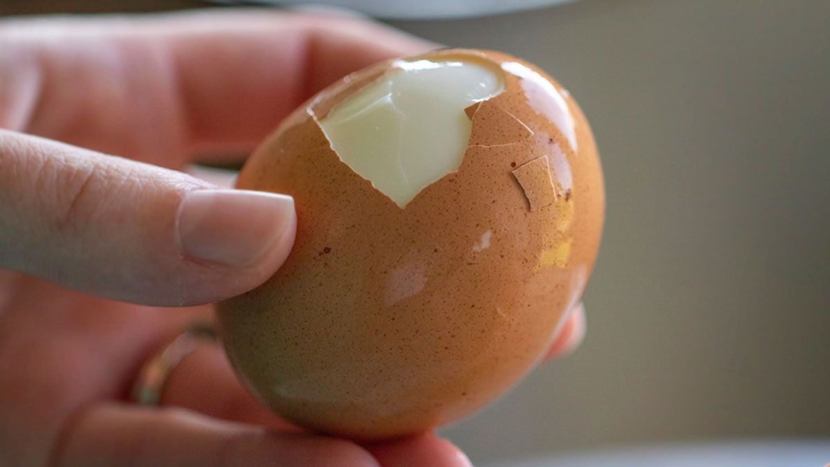 El huevo es uno de los alimentos más completos para toda alimentación saludable.