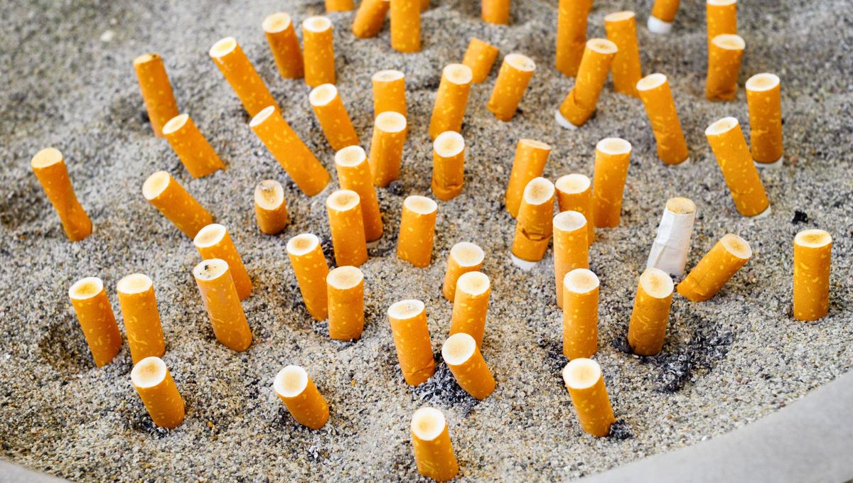 Acertijo de lógica: ¿cuántos cigarrillos puede armar un hombre con 25 colillas?