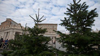 El Vaticano recibió una muestra de fotos de naturaleza