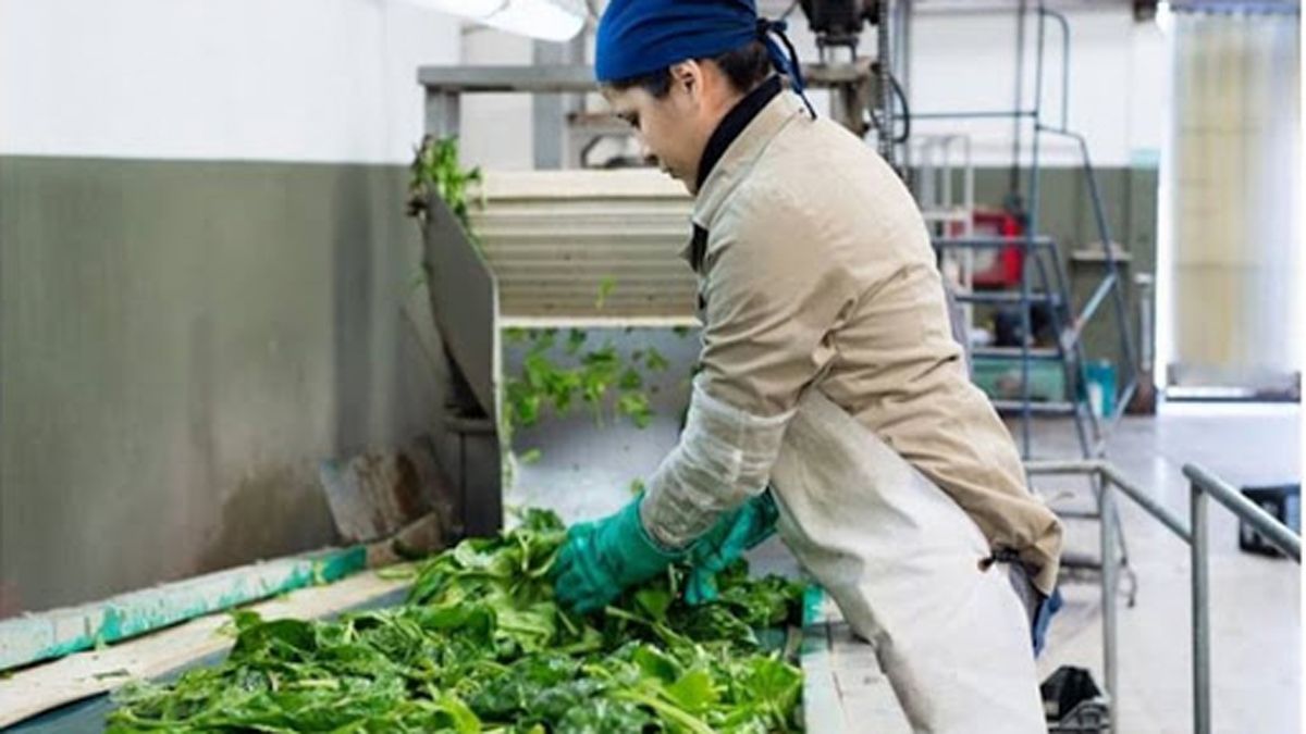 Cooperativa de trabajadores La Terre: la audiencia de conciliación fracasó y ahora resuelverá la Cámara de Apelaciones