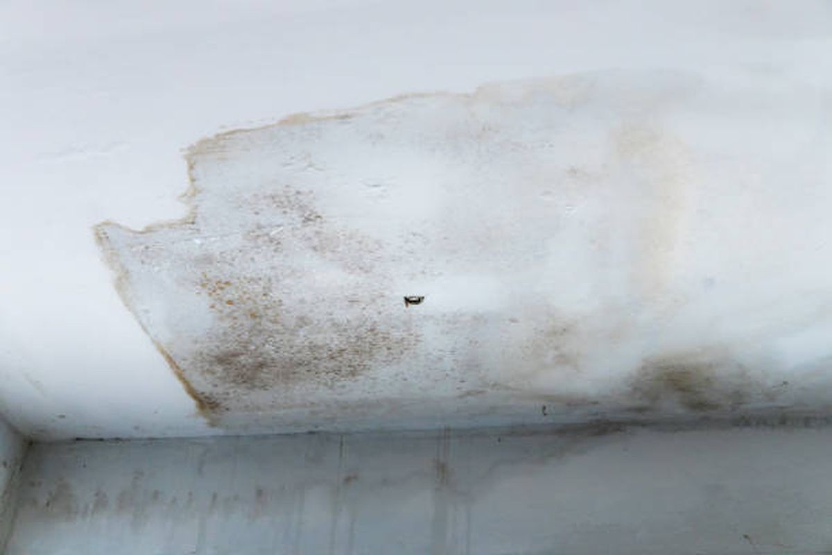 La humedad será problema del pasado con este truco casero. La humedad será problema del pasado con este truco casero.