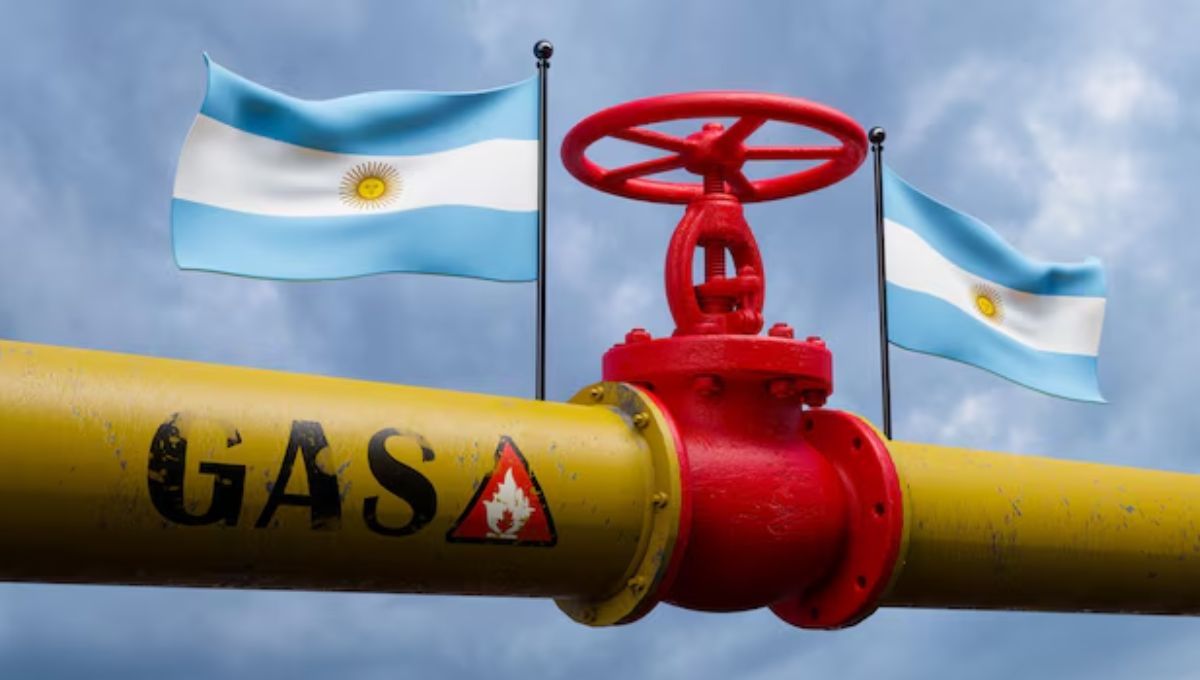 Japón mira a Argentina como su principal proveedor de gas a un costo más bajo