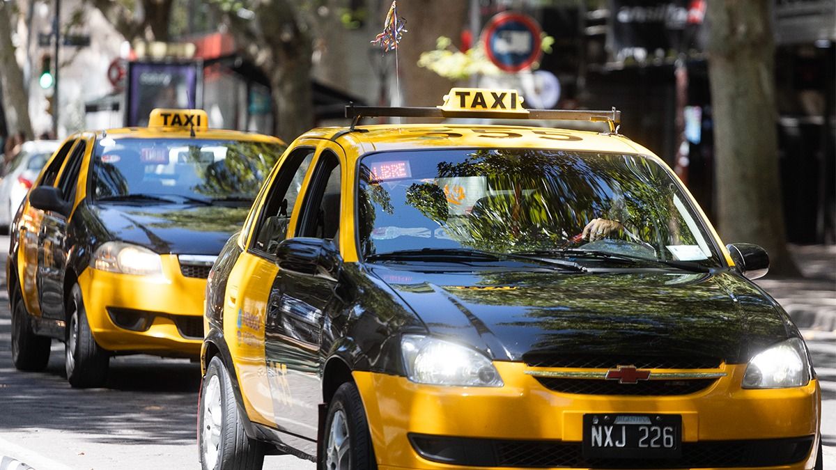 El Gobierno de Mendoza autorizó una suba de la tarifa de taxis del 47% en dos tramos. El Gobierno de Mendoza autorizó una suba de la tarifa de taxis del 47% en dos tramos.