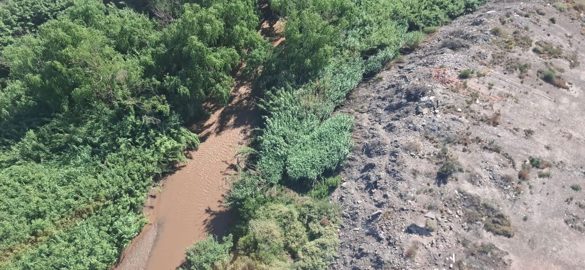 Una toma aérea de la búsqueda de Rita.