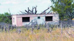 El 30% de las fincas del Este de Mendoza están en estado de abandono