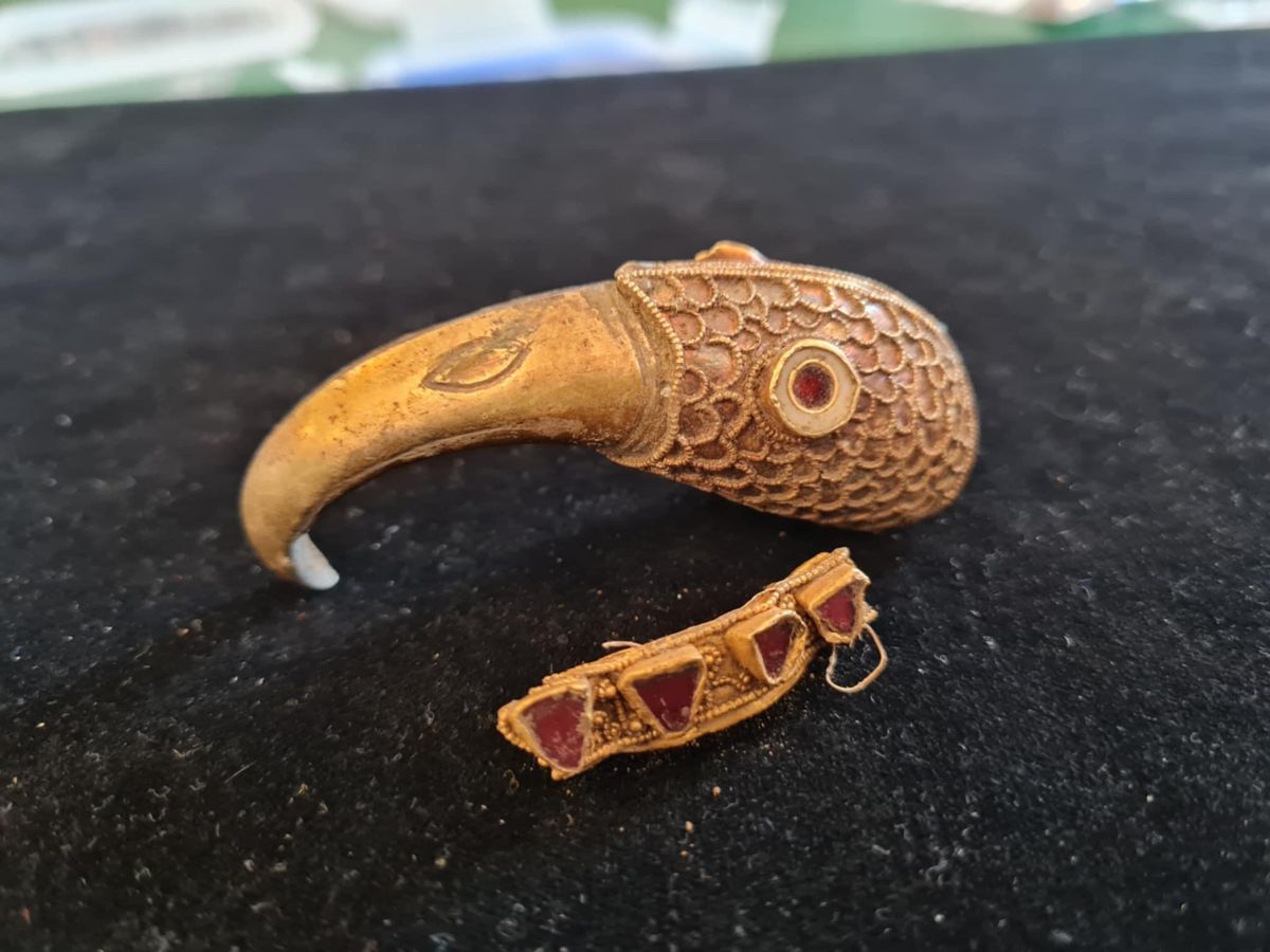 Impactante descubrimiento de artefactos anglosajones de oro en Wiltshire