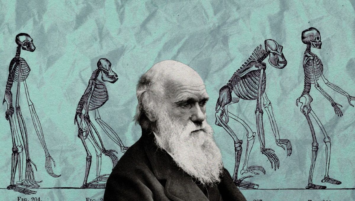 Las tres grandes humillaciones en la historia de la humanidad, según Freud