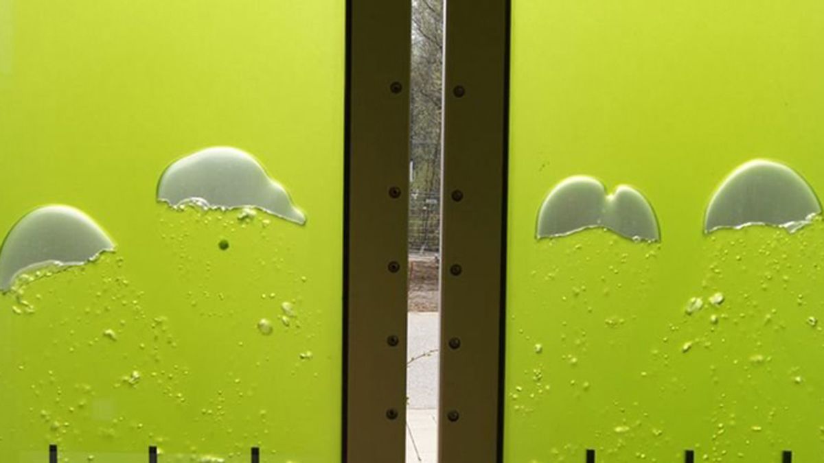 Las algas microscópicas del edificio de Hamburgo se ubican en los vidrios de la fachada.