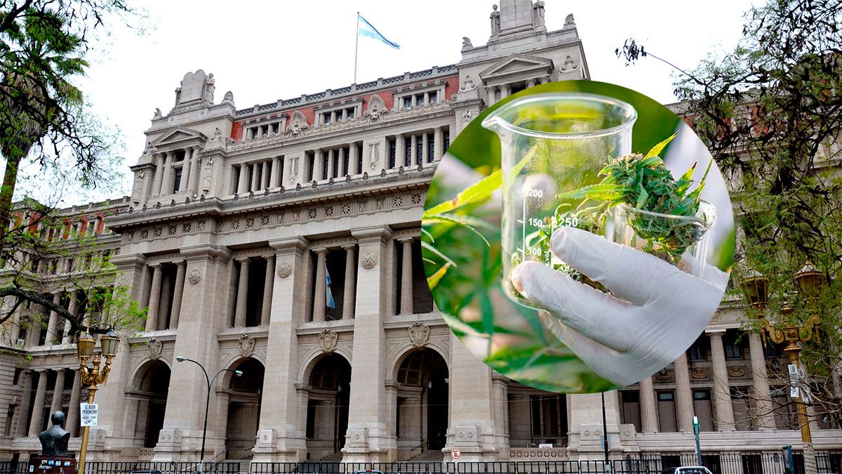 La Corte Suprema de Justicia debatirá en audiencia pública un planteo sobre el uso del cannabis medicinal