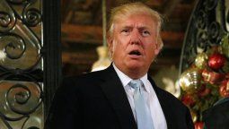 Nombraron una nueva especie de polilla en honor de Donald Trump