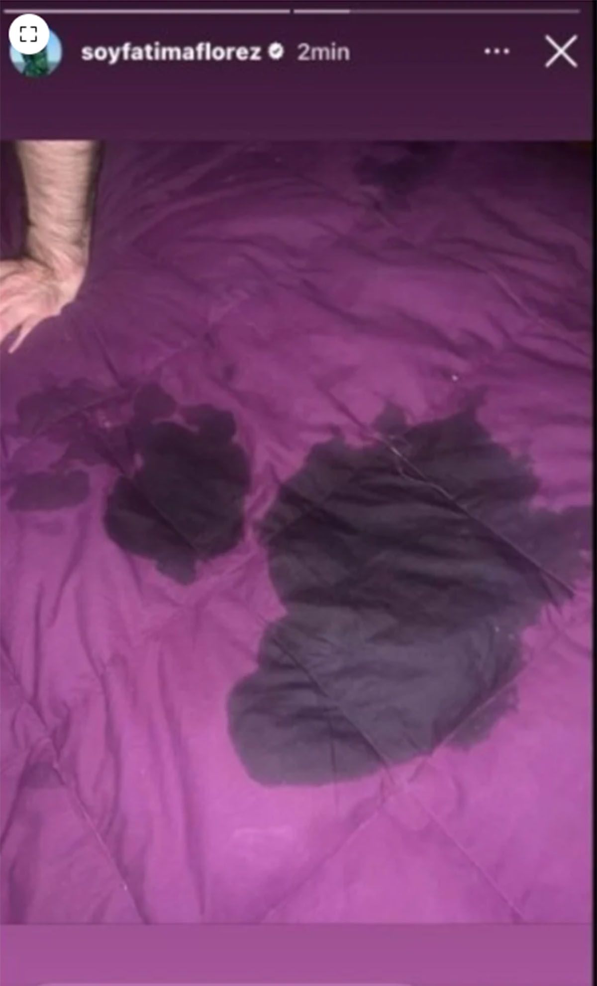 La sospechosa foto que Fátima Florez publicó y borró rápidamente. La sospechosa foto que Fátima Florez publicó y borró rápidamente.