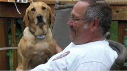 Nada los separa: un hombre con cáncer y su fiel perro murieron con una hora de diferencia