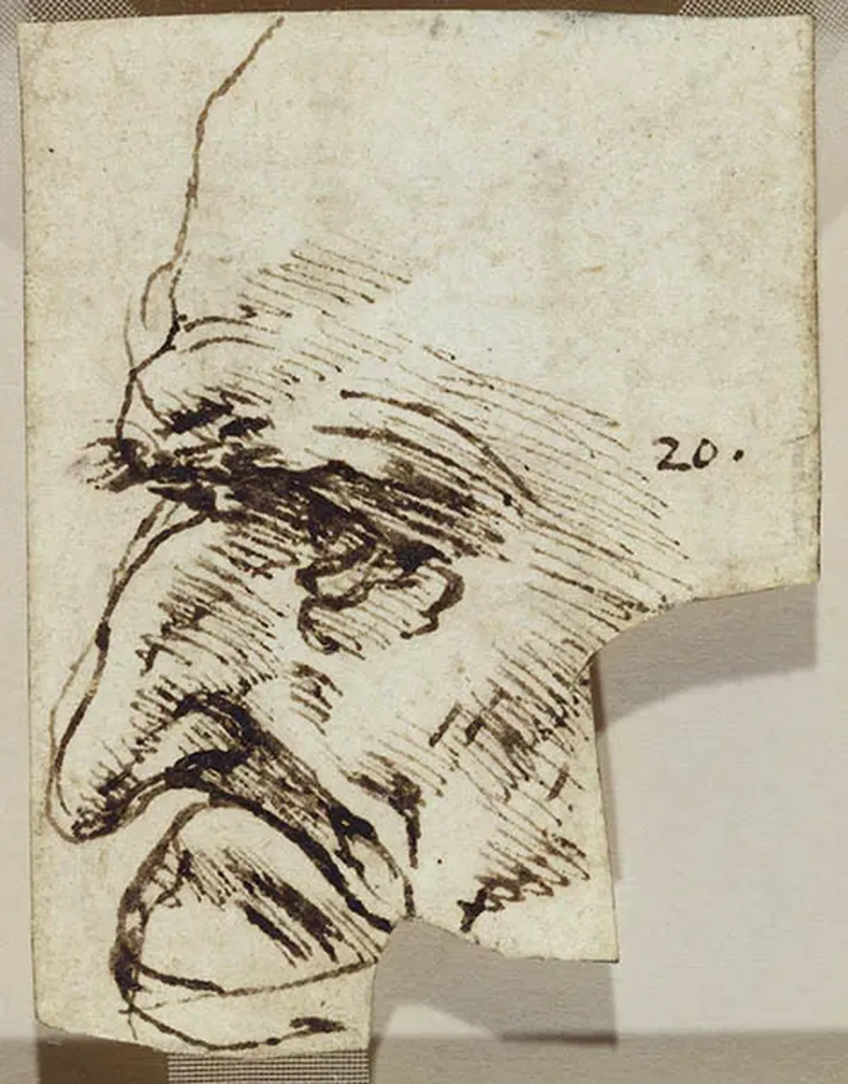 Leonardo Da Vinci dejó miles de dibujos cuando murió, y estuvieron divididos por más de 400 años. Leonardo Da Vinci dejó miles de dibujos cuando murió, y estuvieron divididos por más de 400 años.