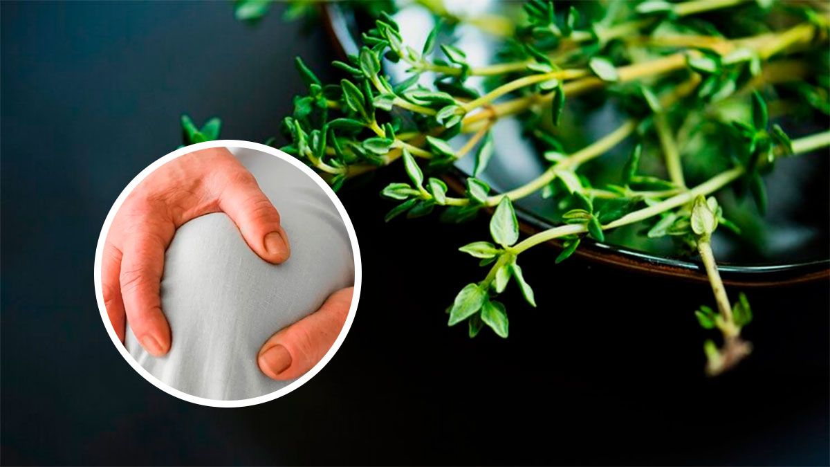 Todos tienen en casa esta especia que calma los dolores de rodilla y evita la inflamación