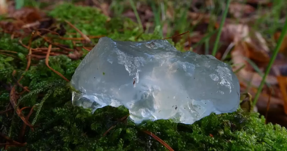 El fenómeno  Oakville sigue siendo un misterio