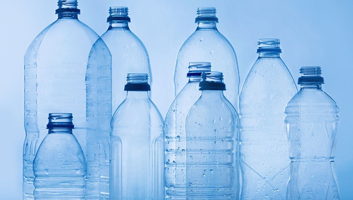 Reutiliza tus botellas de plástico y conviértelas en esta maravillosa ideal con un toque personal