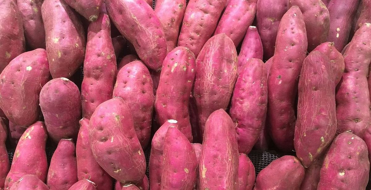 Beneficio de comer camote. Beneficio de comer camote.