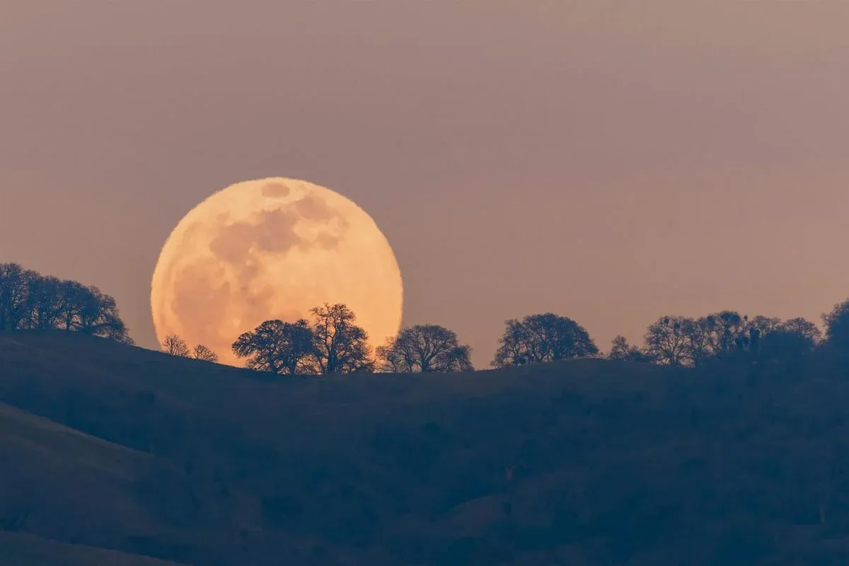 En América el punto máximo de la luna se dará durante la tarde del lunes. En América el punto máximo de la luna se dará durante la tarde del lunes.