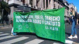 Presentaron el proyecto de aborto legal en el Congreso