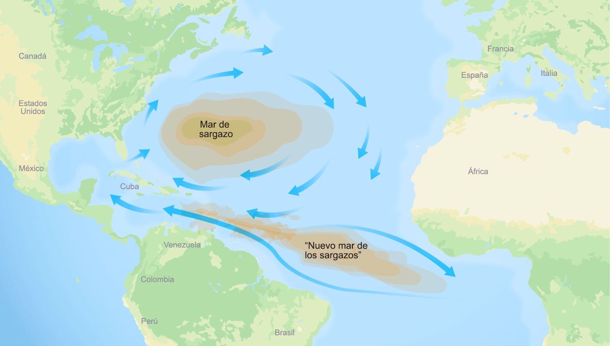 Ybicación del Mar de los Sargazos.  