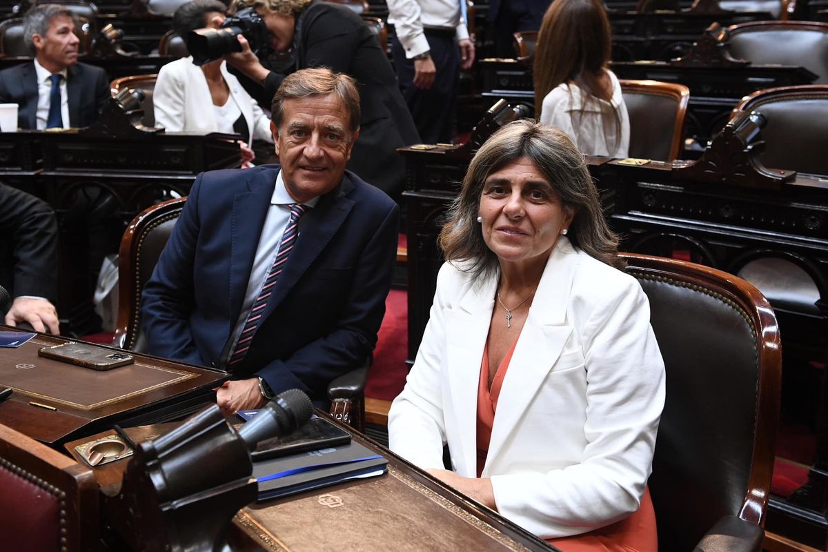Senadores nacionales radicales: Rodolfo Suarez y Mariana Juri.